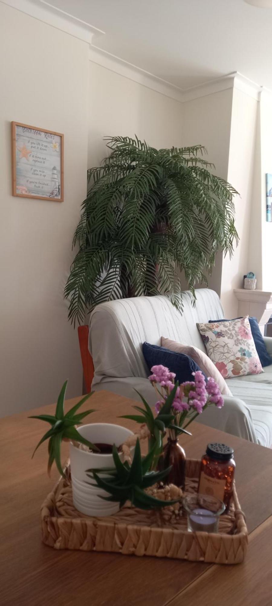 شقة Filipe'S House باليال المظهر الخارجي الصورة